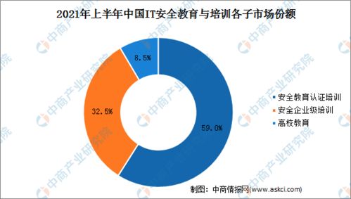 2021年上半年中國(guó)網(wǎng)絡(luò)安全服務(wù)廠商收入規(guī)模高漲110%，網(wǎng)絡(luò)與信息安全軟件開發(fā)引領(lǐng)增長(zhǎng)